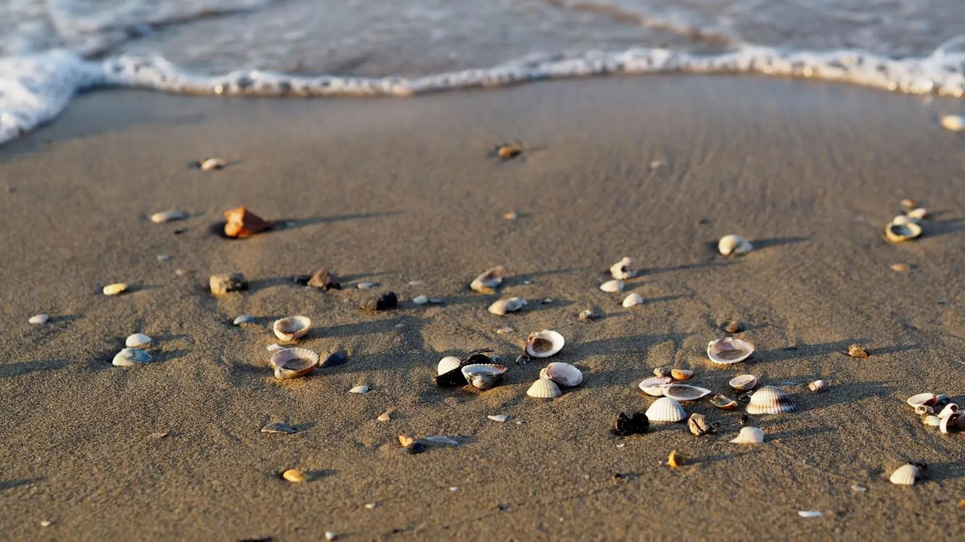 Enjoy Bibione In Our Serene Flat 0*,  Italy